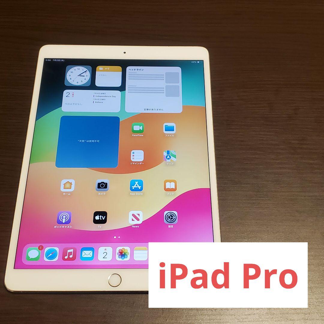 iPad Pro 第1世代 256GB Cellular