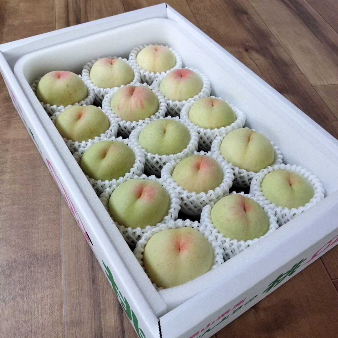 岡山県産　白桃　加納岩　進物用