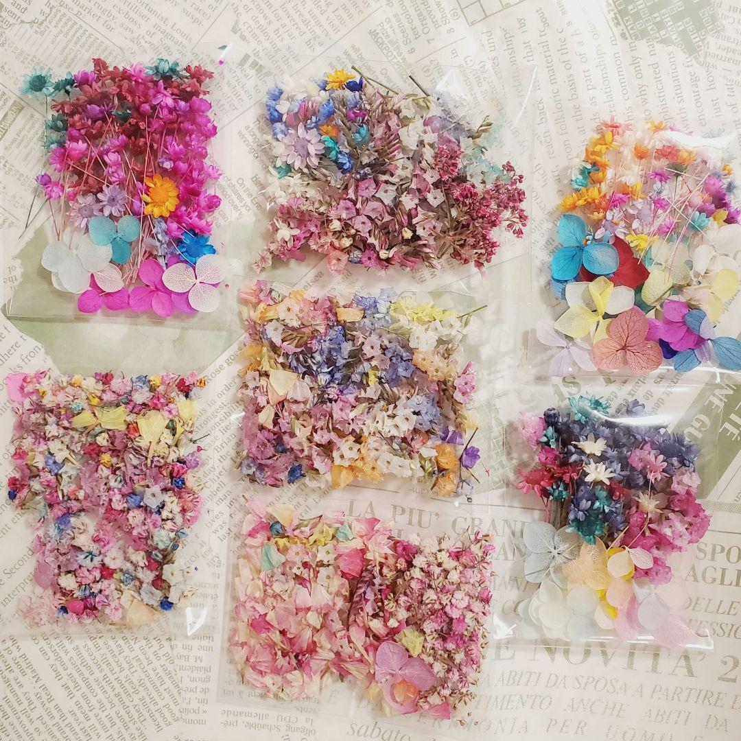 moca⭐︎おまとめ割あり❄極小かすみ草❄ドライフラワー ドライかすみ草たっぷり♡訳ありプリザ*ドライフラワー小花