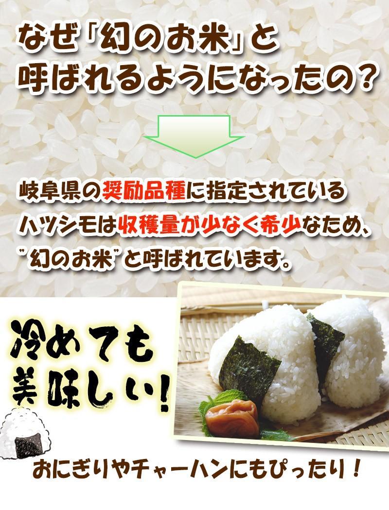 岐阜ブランド米　令和６年度『岐阜ハツシモ』新米　白米(玄米可)10キロ送料無料