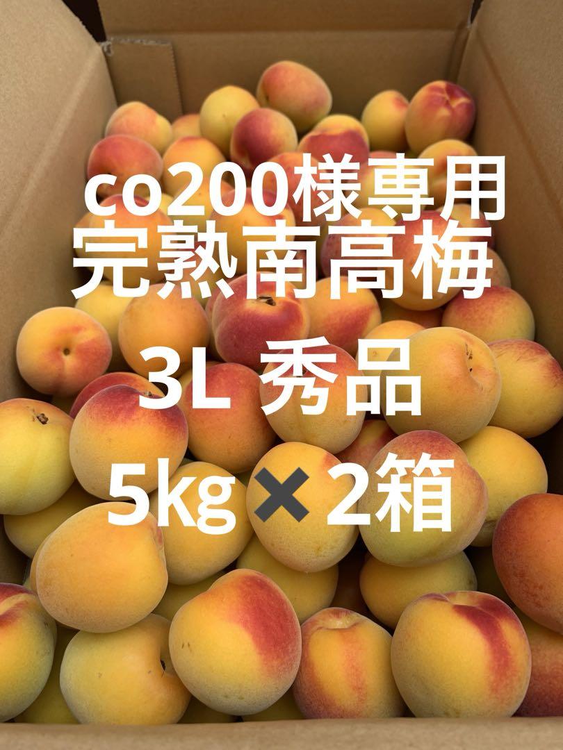 和歌山県紀南産　完熟南高梅5㎏ 秀品　3L ✖️2箱