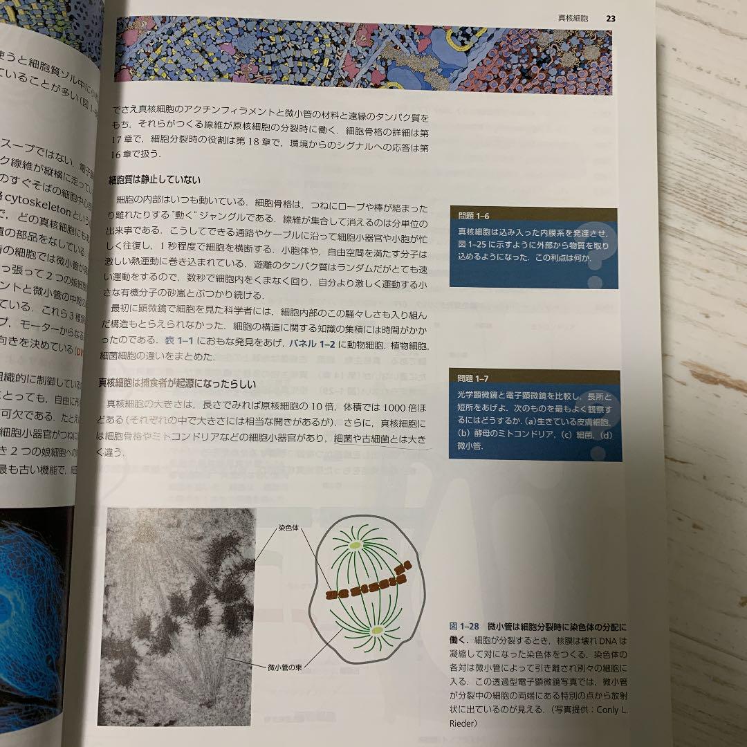 Essential細胞生物学 - メルカリ