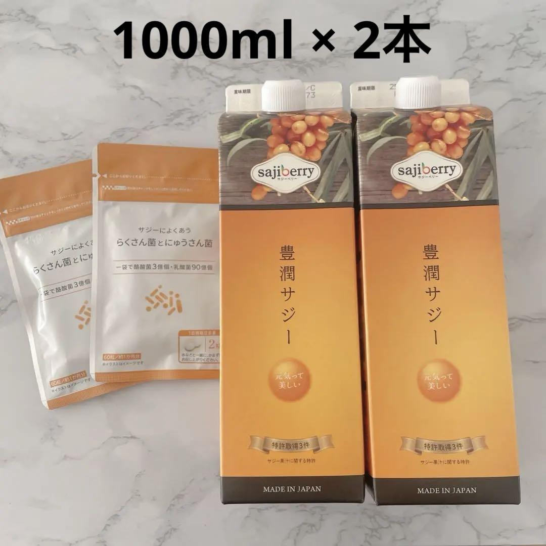 Amazon.co.jp: 豊潤サジー 1000ml サジージュース【紙パック