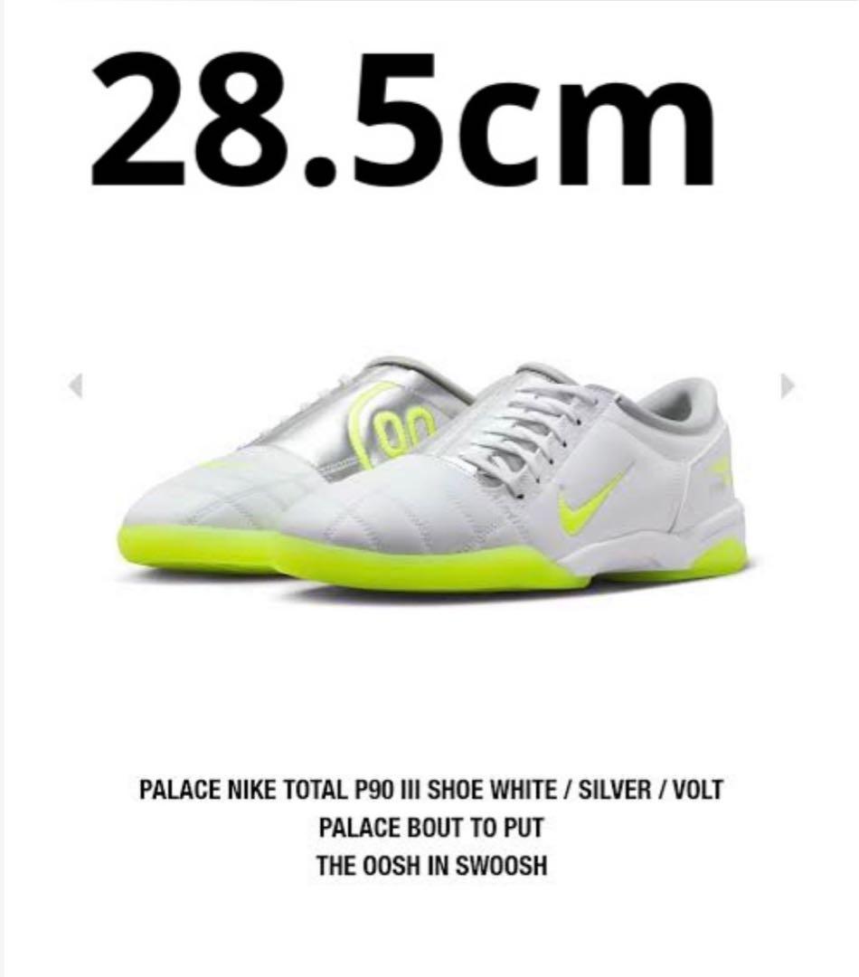 PALACE NIKE TOTAL P90 III 28.5cm