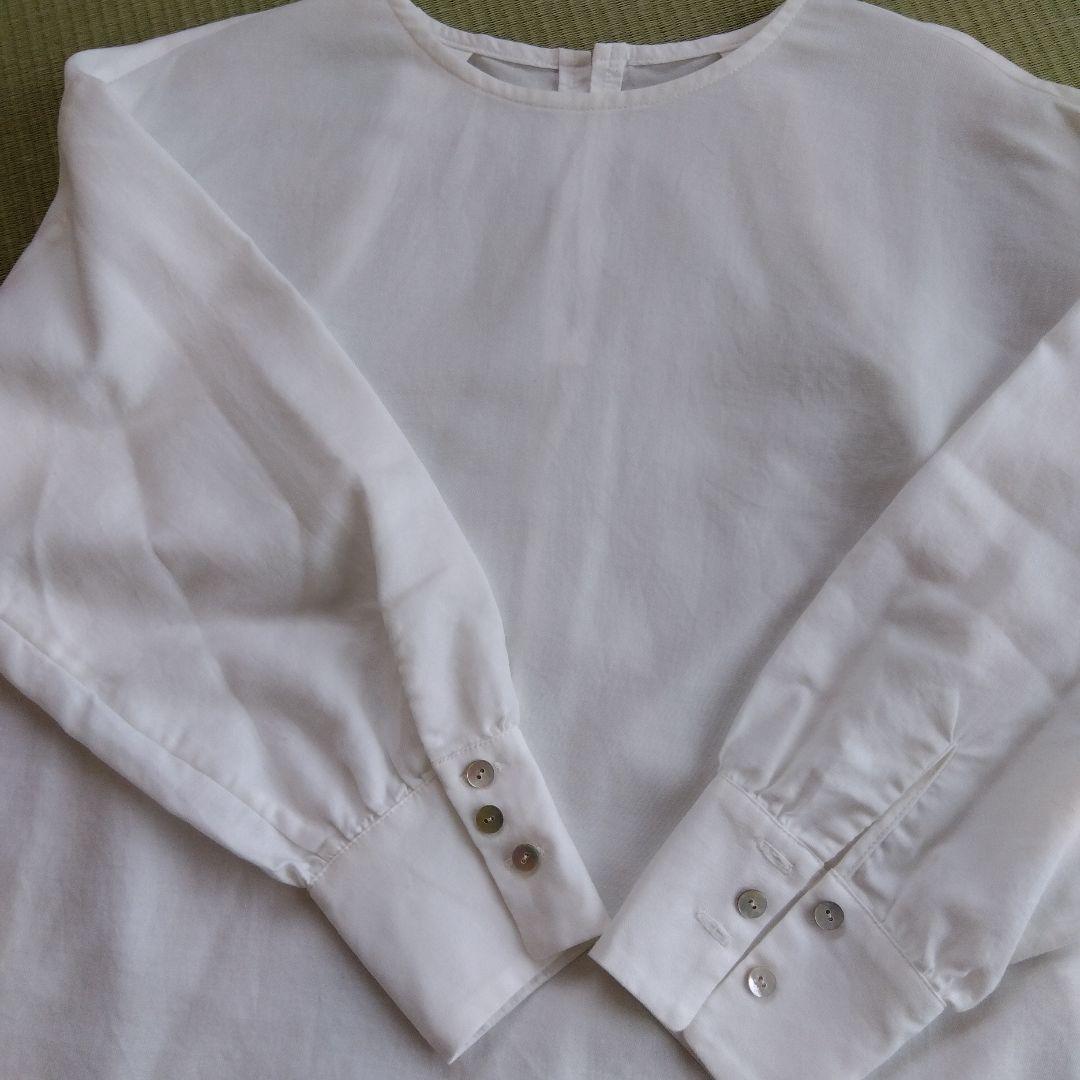 mojoko　パレス　パームスカンパニ　size2 綿100 　日本製
