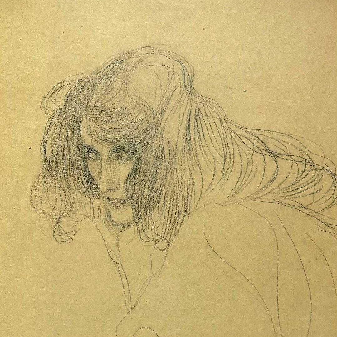 【 新品 】 KLIMT AND SCHIELE DRAWINGS