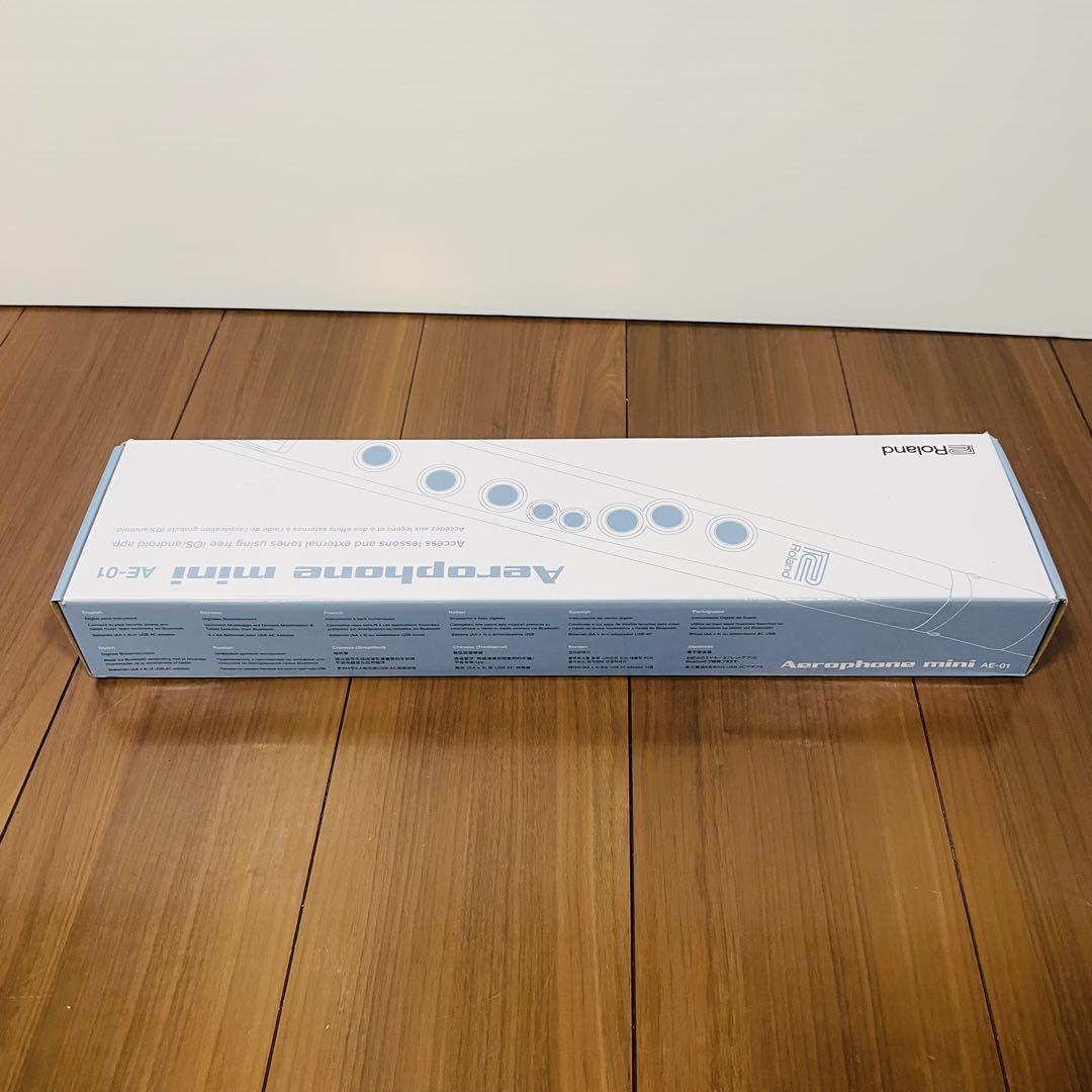 未使用品　Roland AE-01 エアロフォン　ミニ