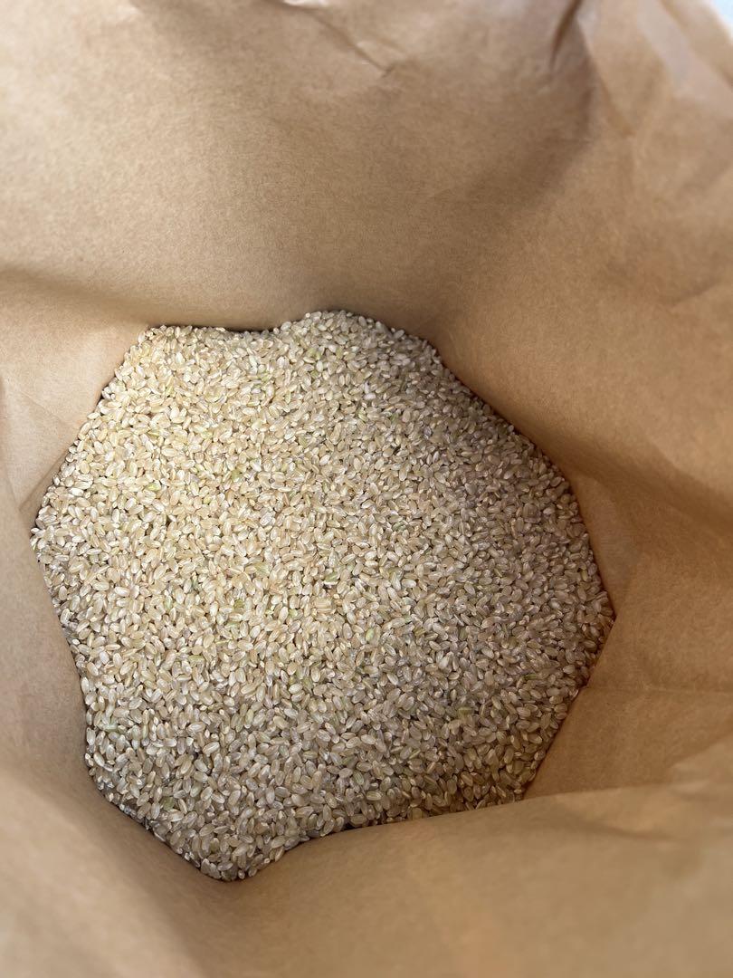 令和5年　徳島県産　コシヒカリ玄米　10kg