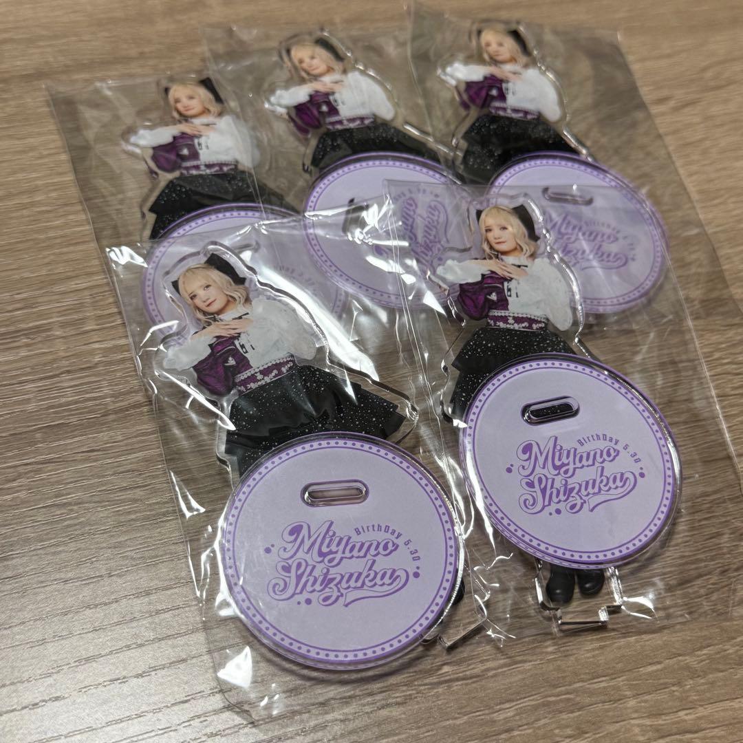 宮野静 生誕 ラッフル 宮野静 生誕 ラッフル