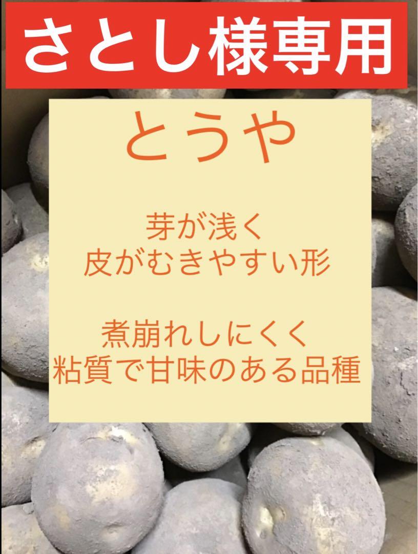 さとし様専用