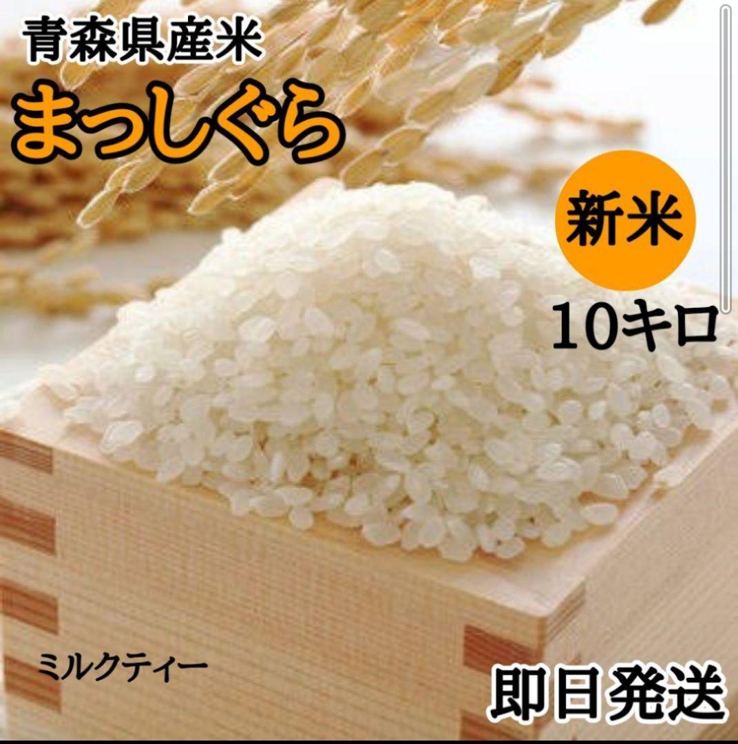 よな　まっしぐら 10キロ 精米25.05　お米　新米　白米　１０kg