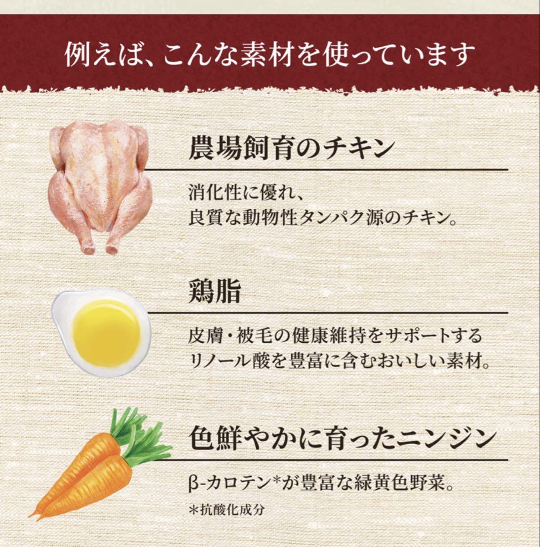 成猫用
