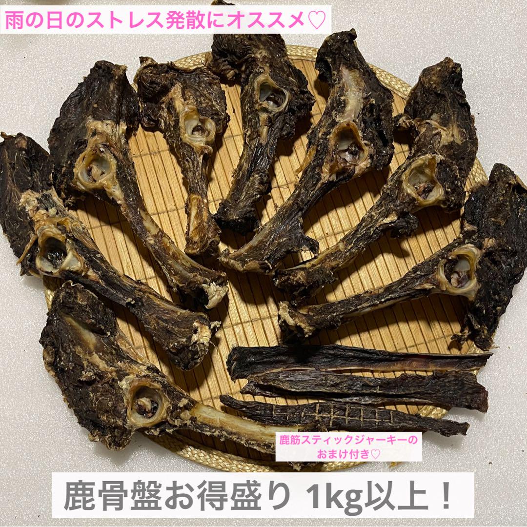 sunsun様 リクエスト 2点 まとめ商品