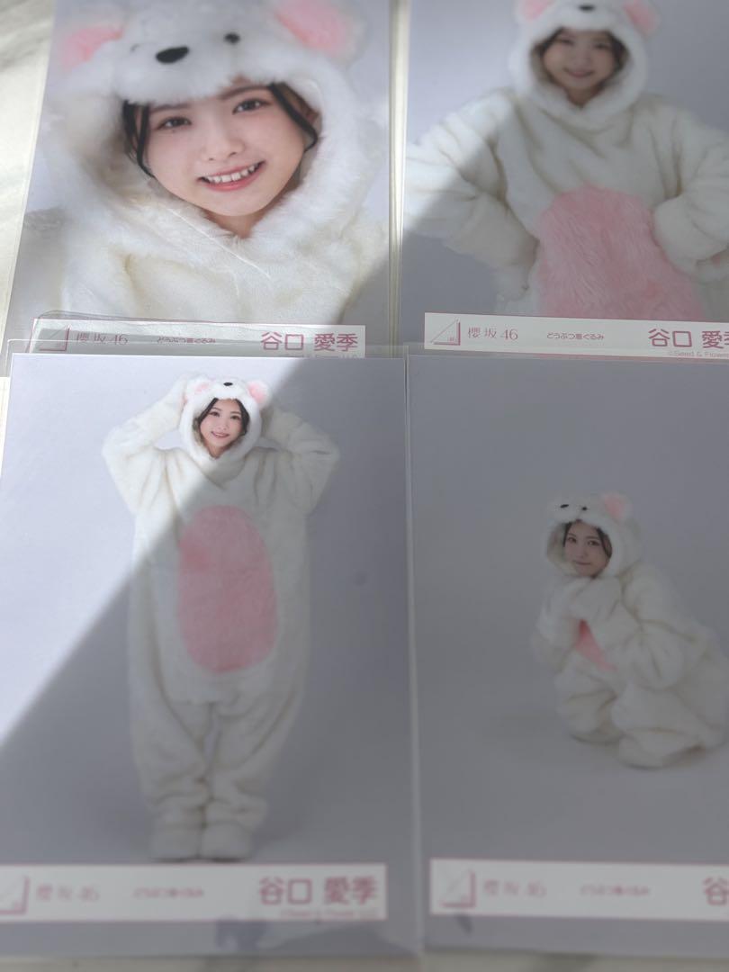 谷口愛季 まとめ売り