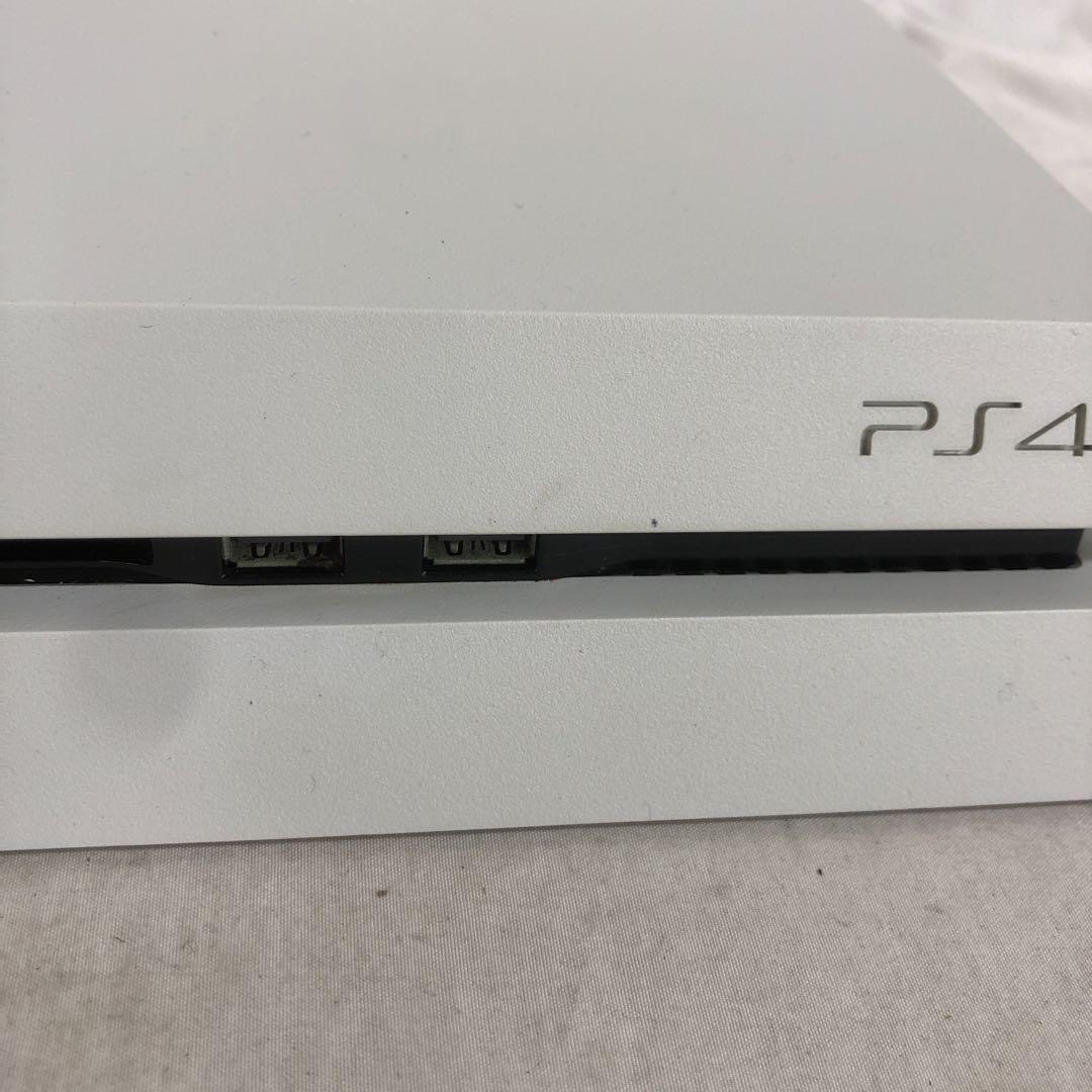 本体