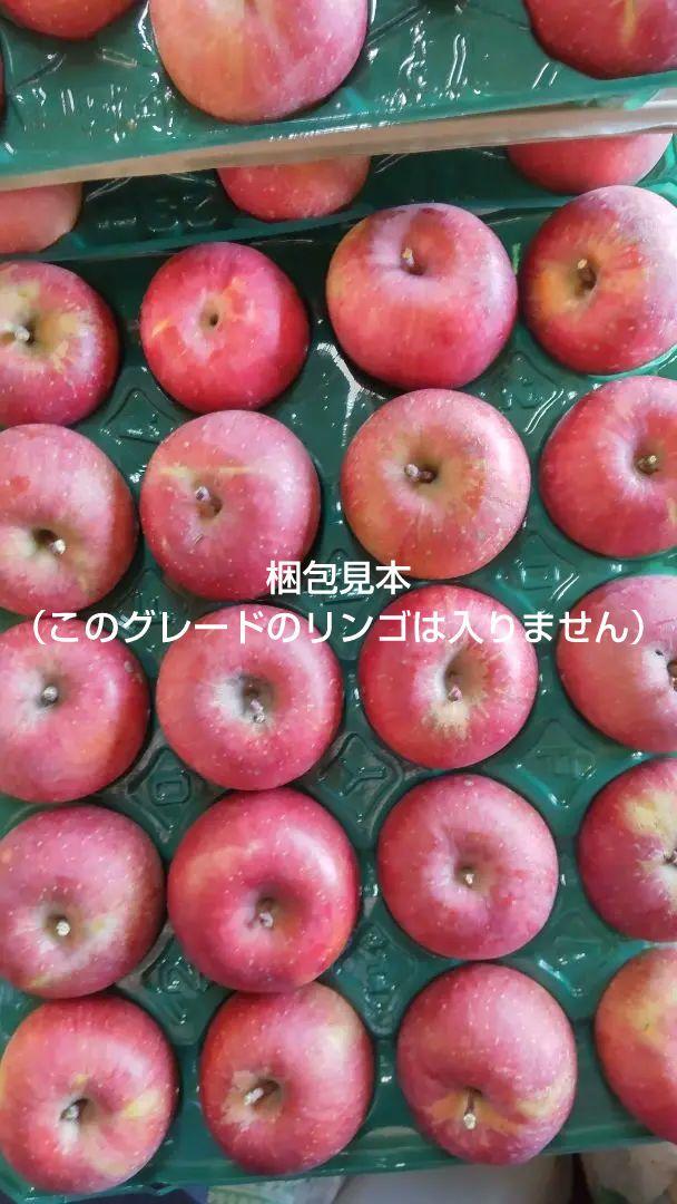 もみじ様専用です希少わら敷サンふじ家庭用A品 長野県産中身