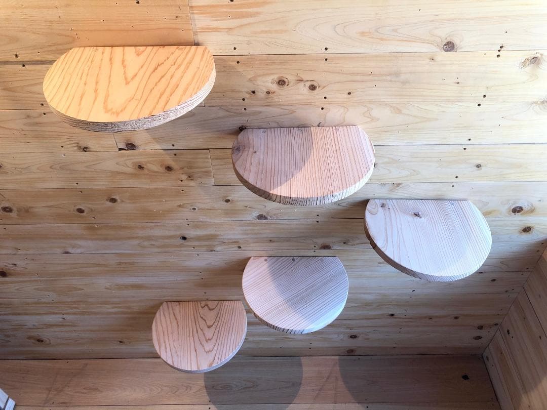 プレゼントを選ぼう!猫座丸 中 キャットウォーク 5つセット 猫用品