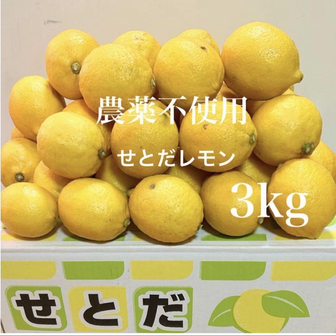 瀬戸田レモン3kg ＜2024年11月上旬より発送開始＞【レモン