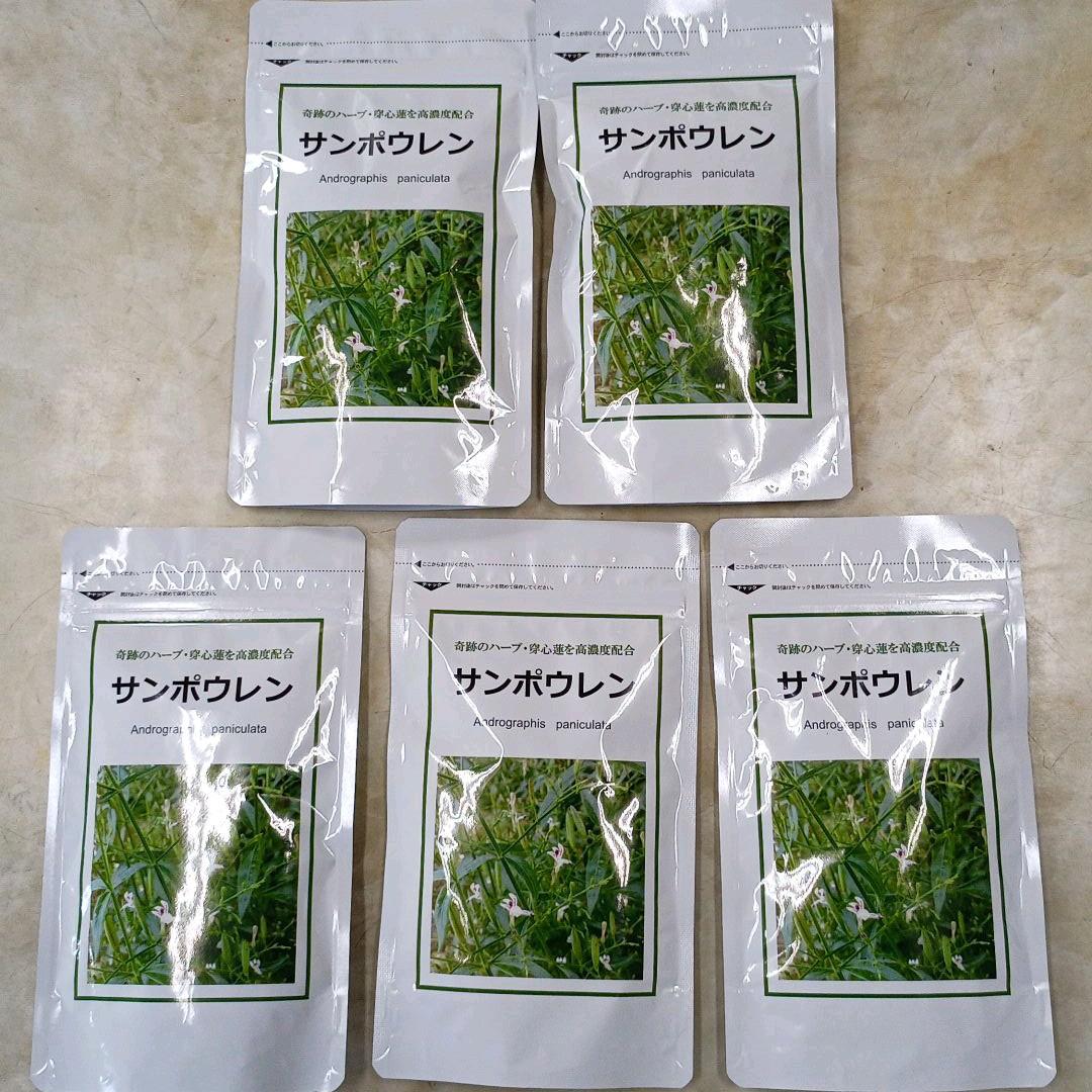 サンポウレン　5個セット　三宝　バラ売り可