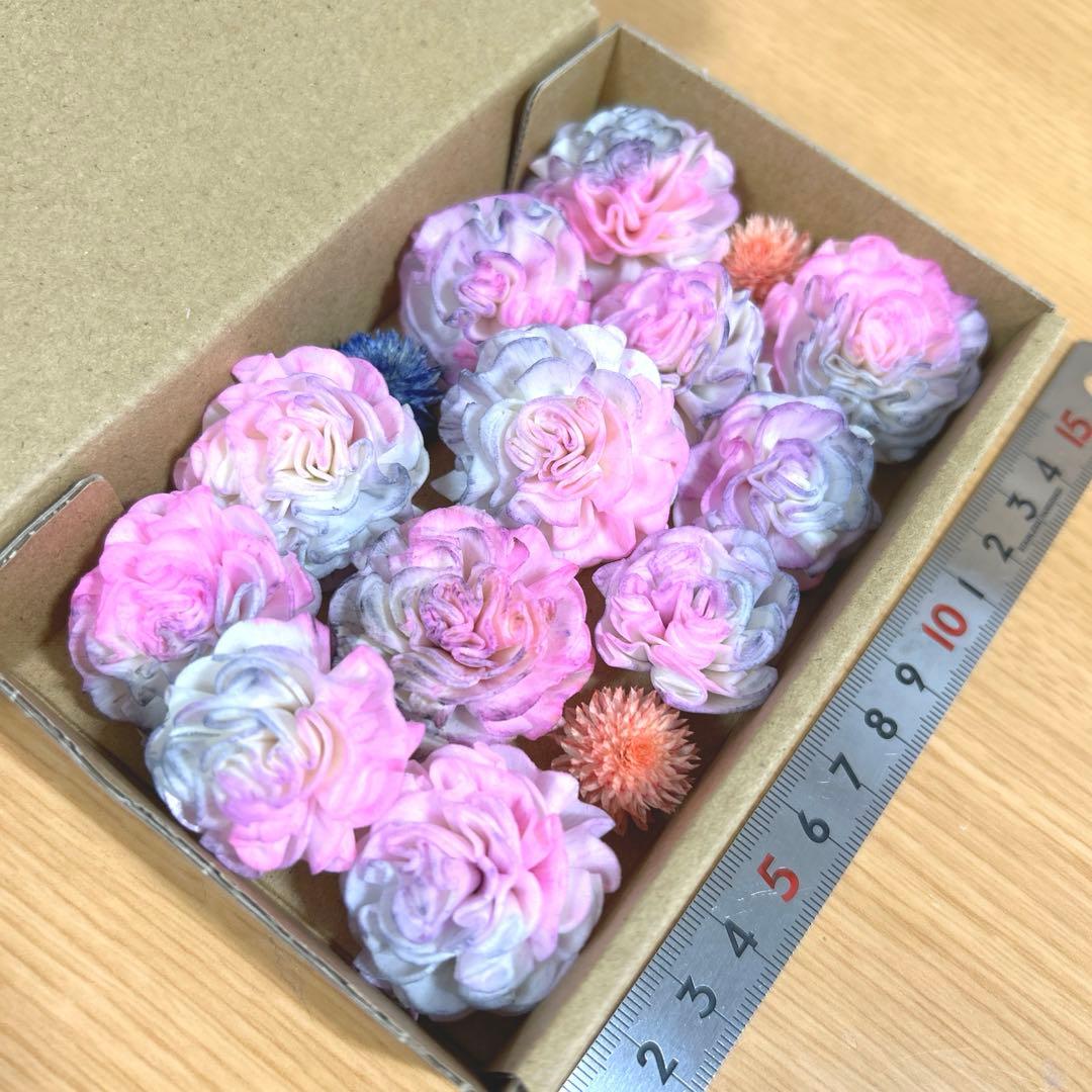 ソラフラワー&千日紅　671