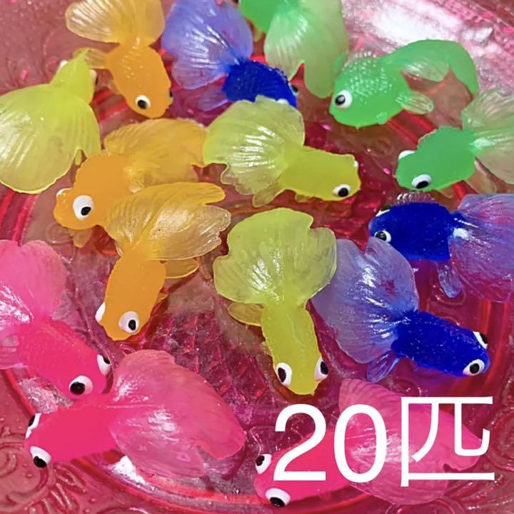 金魚すくい 金魚のみ20匹 おうちあそび 即購入OK
