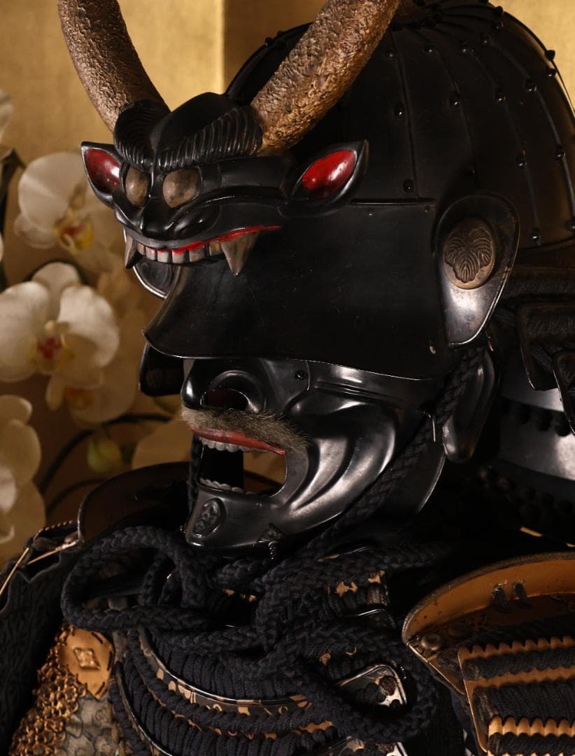 BY07 甲冑 具足 石持地抜蔦家紋家紋唐草胴 獅子噛み前立 鎧櫃付き 兜 武具 BY07 甲冑 具足 石持地抜蔦家紋家紋唐草胴 獅子噛み前立 鎧櫃付き 兜 武具