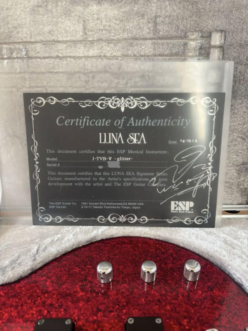 ESP J-TVB-V Glitter Sig /LUNA SEA Ｊmodel