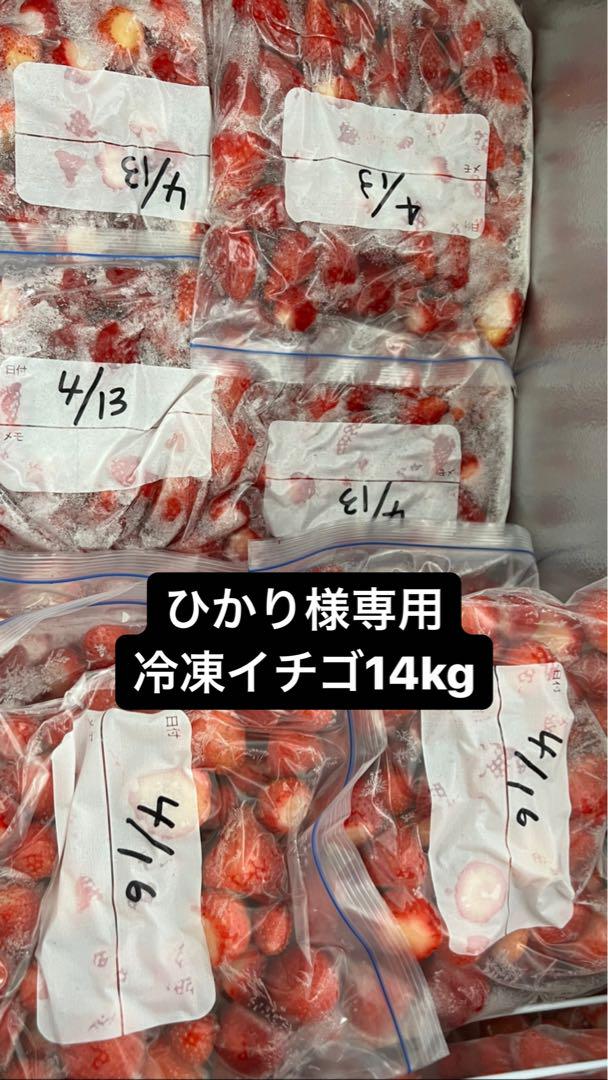 ひかり様専用　冷凍イチゴ14kg