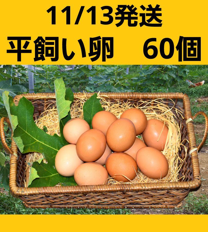 ラスト① 農家直送 令和6年産 無洗米 10kg 特別栽培米 白米 精米