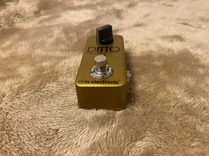 DITTO LOOPER 7WGxe-m73137942779 再入荷通販