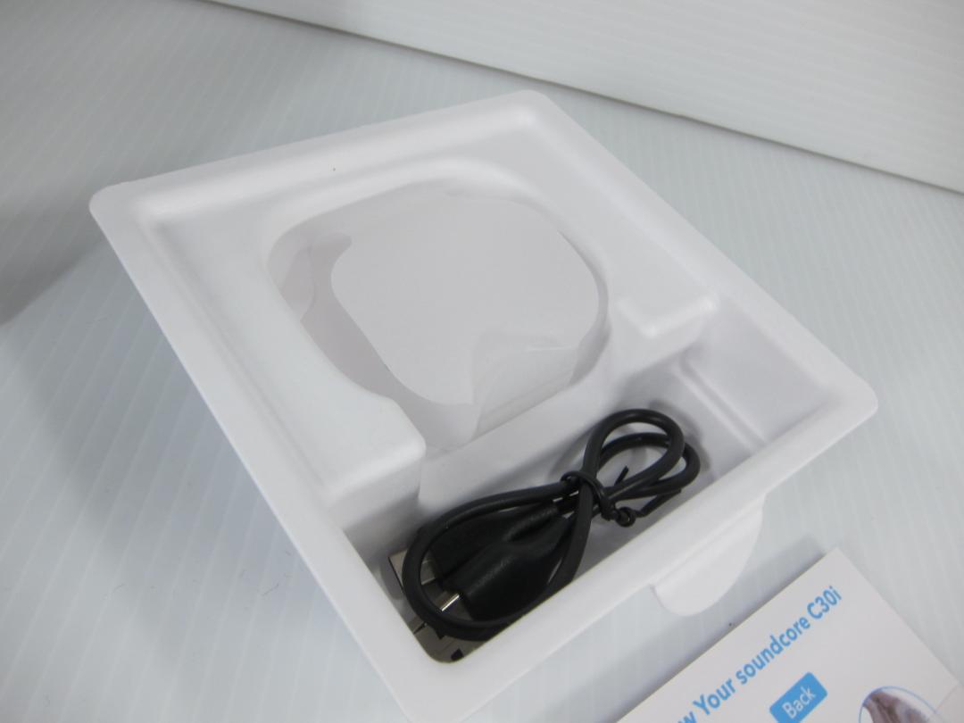 Anker Soundcore C30i ワイヤレスイヤホン クリアブラック