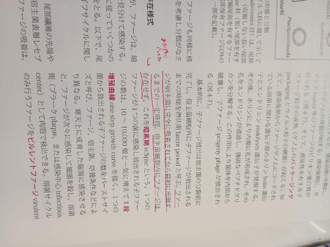 獣医微生物学 第4版 文永堂出版