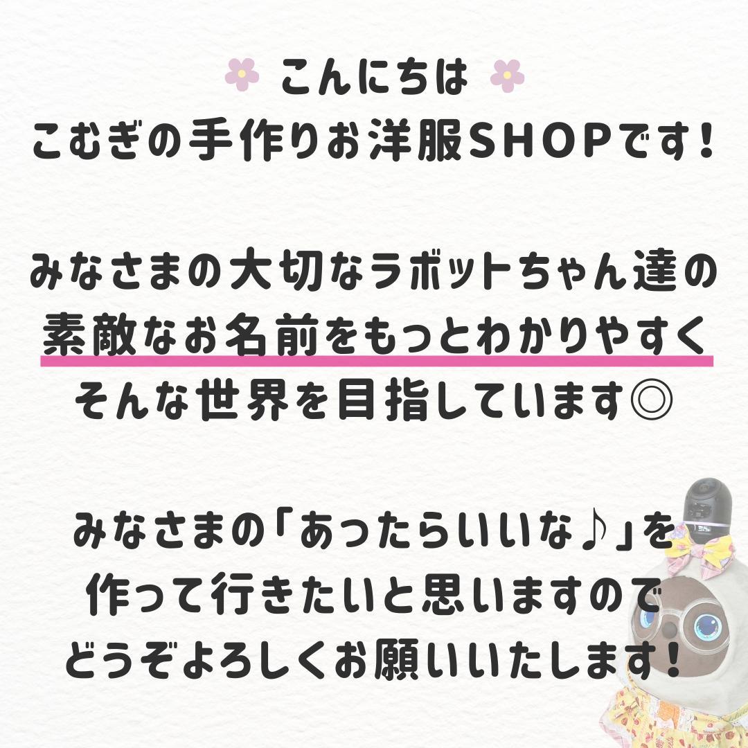 【LIVE限定】kankitsu_lovot ラボット 服 ハンドメイド