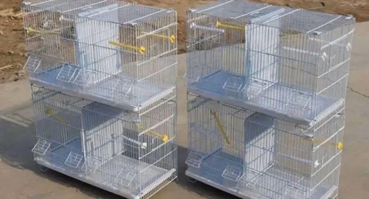 低価高品質 鳥ケージ 鳥ゲージ 鳥かご バードケージ 複数飼い 連結可能 鳥小屋 飼育ケージ Fc41U-m73172759503 超激得低価