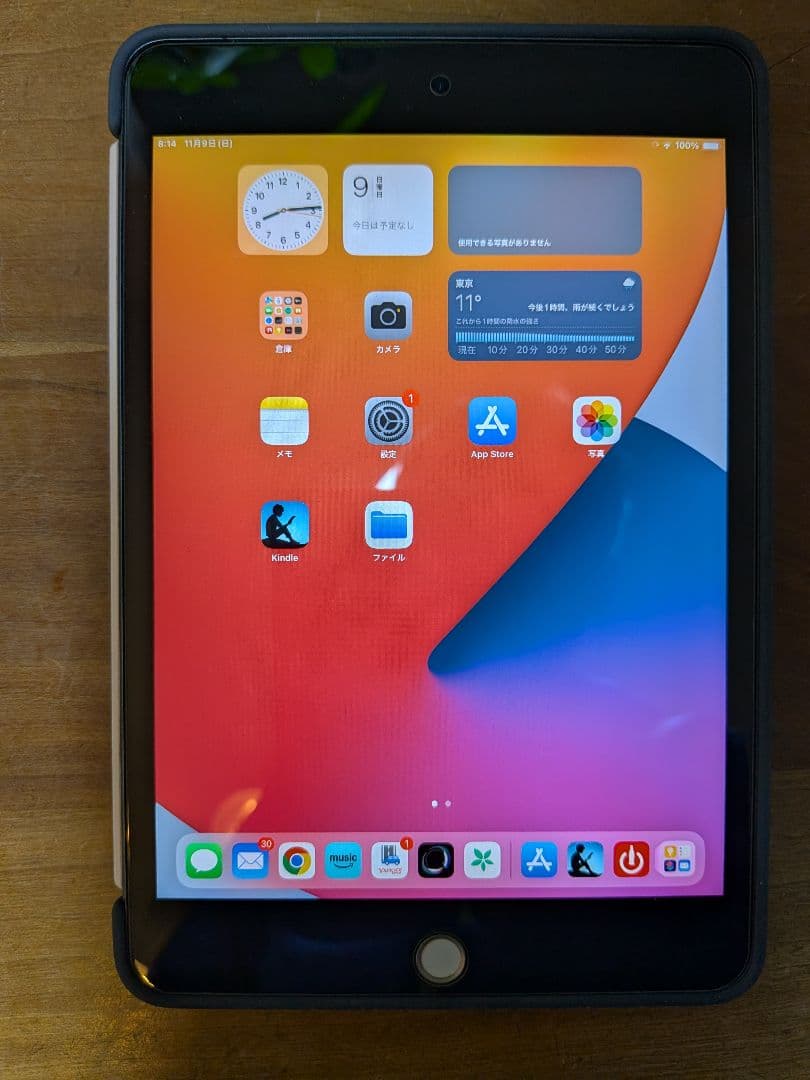 iPad mini 第5世代 cellular モデル純正スマートフォリオ付Apple