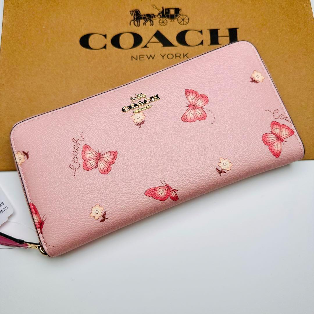 chiiiibag 手ぬぐい ノベルティ 小物
