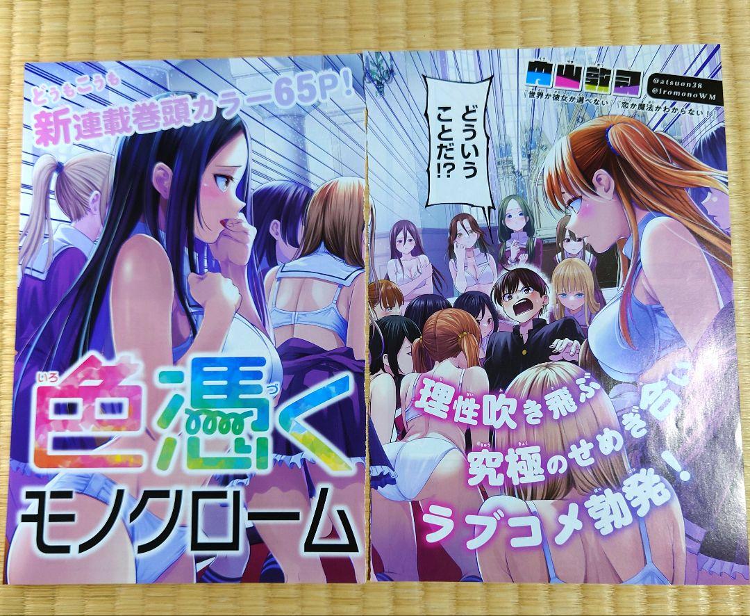 色憑くモノクローム カラーページ② - メルカリ