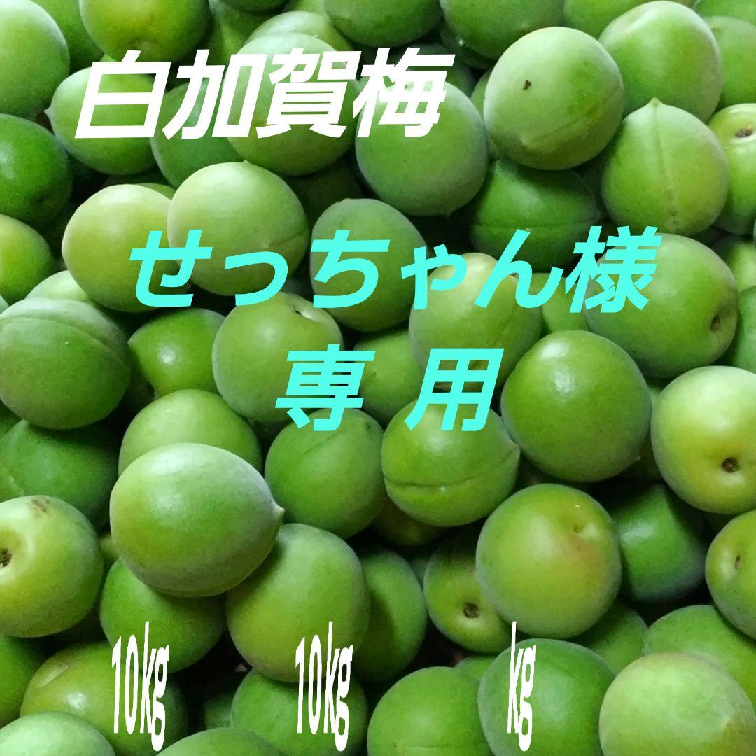 白加賀梅、AL・ 10kg、 専用出品です。