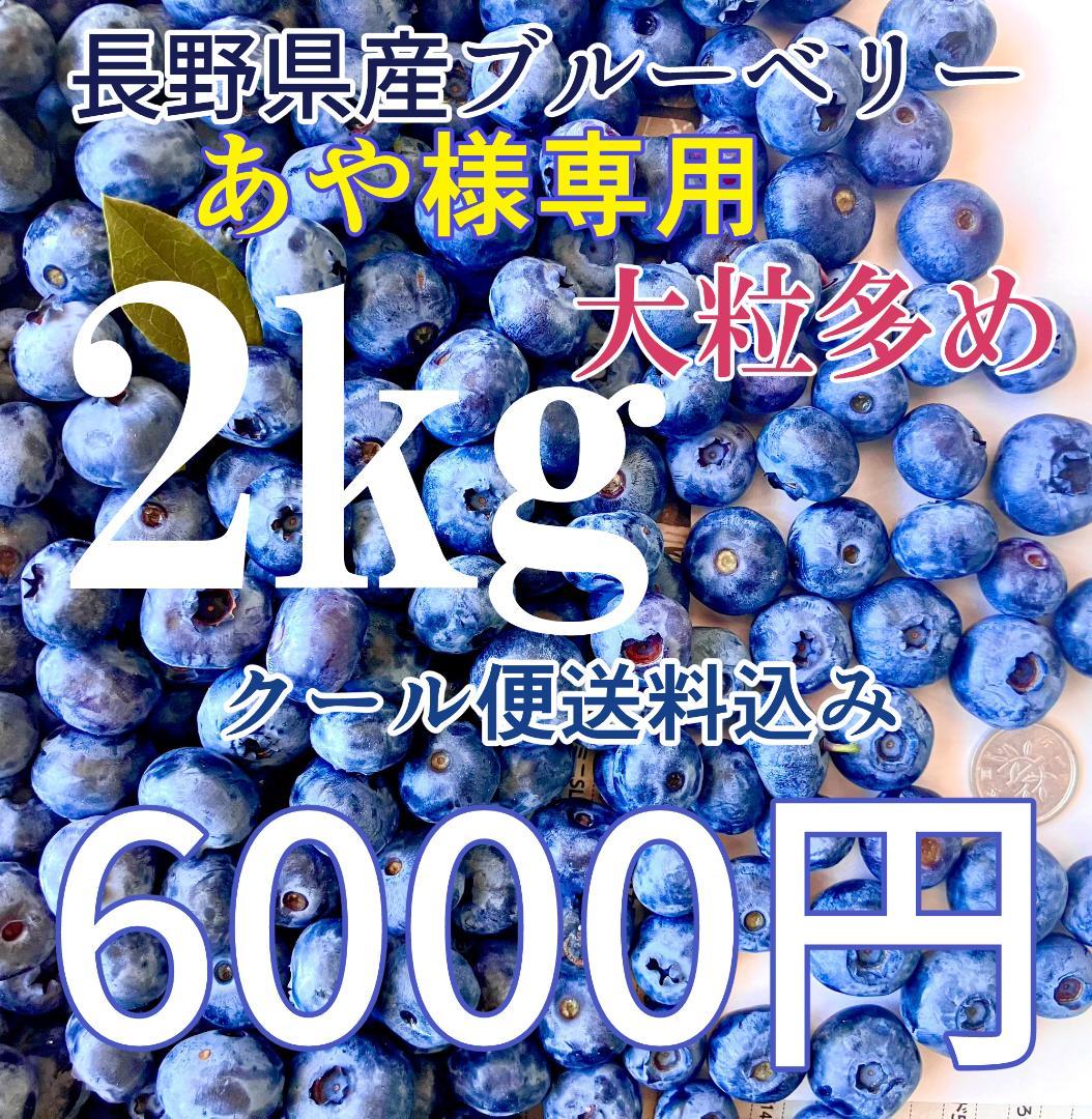 あや　長野県産ブルーベリー 2kg 大粒