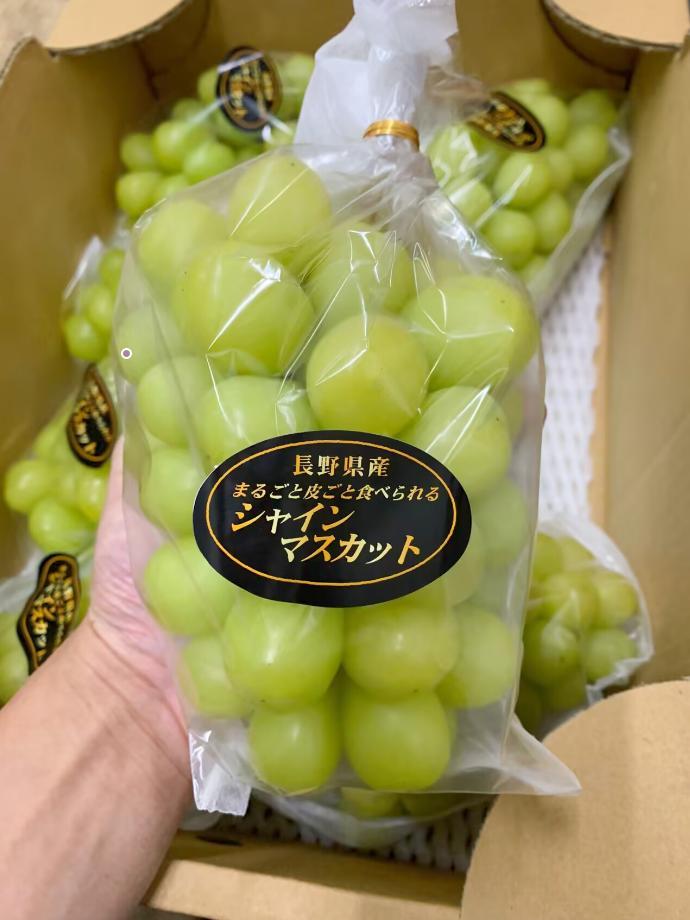 長野県産 シャインマスカット【晴王】【秀品】6房～8房（約5.0kg）