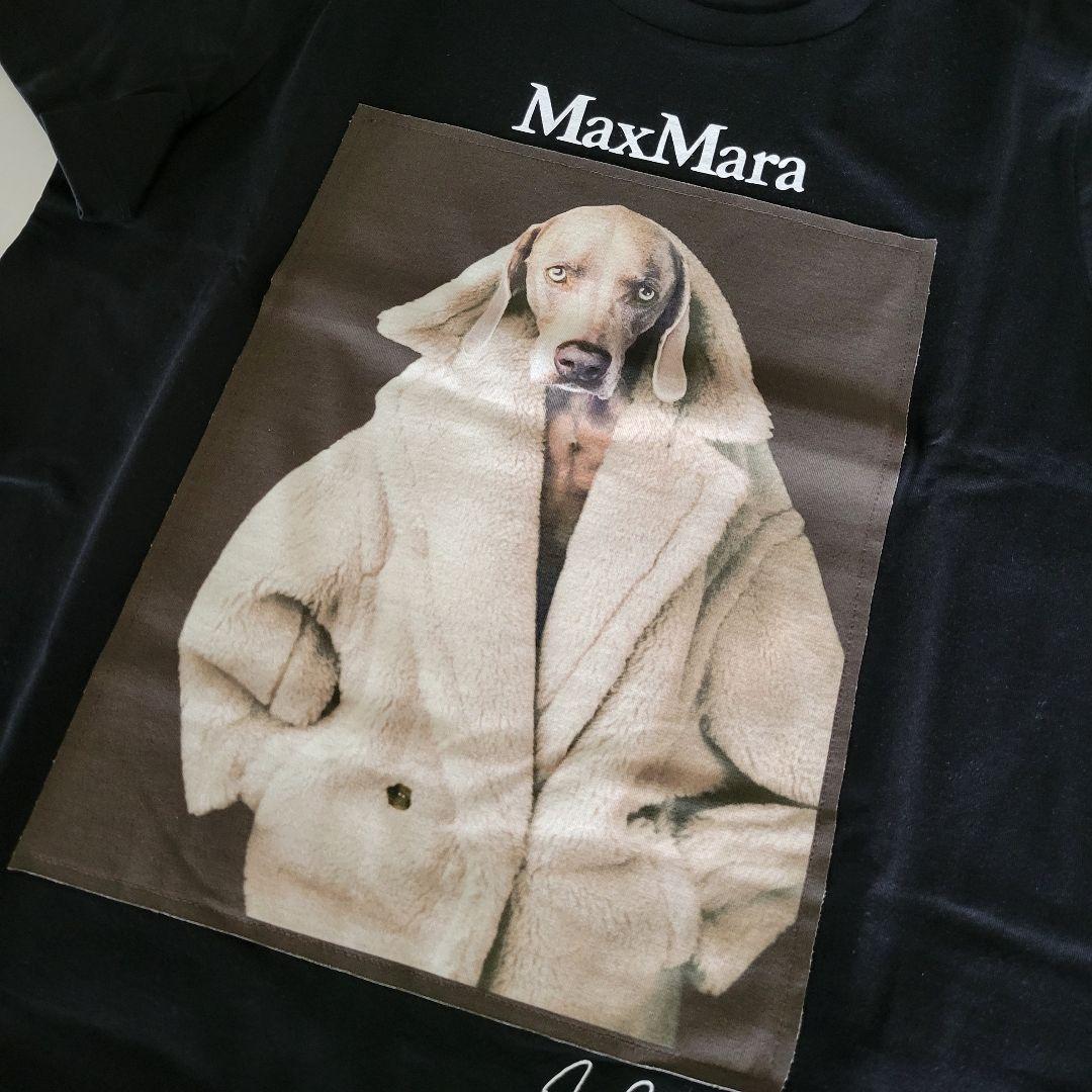 ★新品未使用★Max Mara ウェグマンプリント Tシャツ サイズ多数