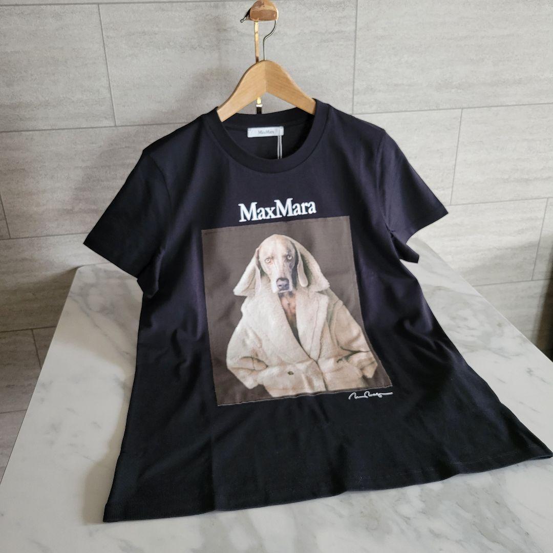 ★新品未使用★Max Mara ウェグマンプリント Tシャツ サイズ多数