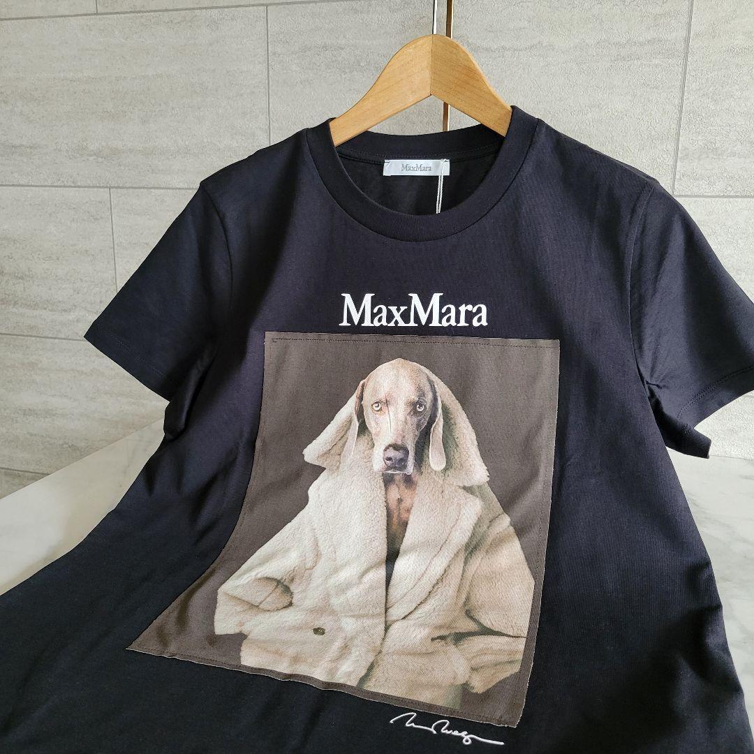 ★新品未使用★Max Mara ウェグマンプリント Tシャツ サイズ多数
