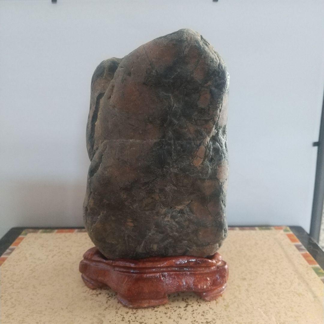 |観賞用目立った傷や汚れなし