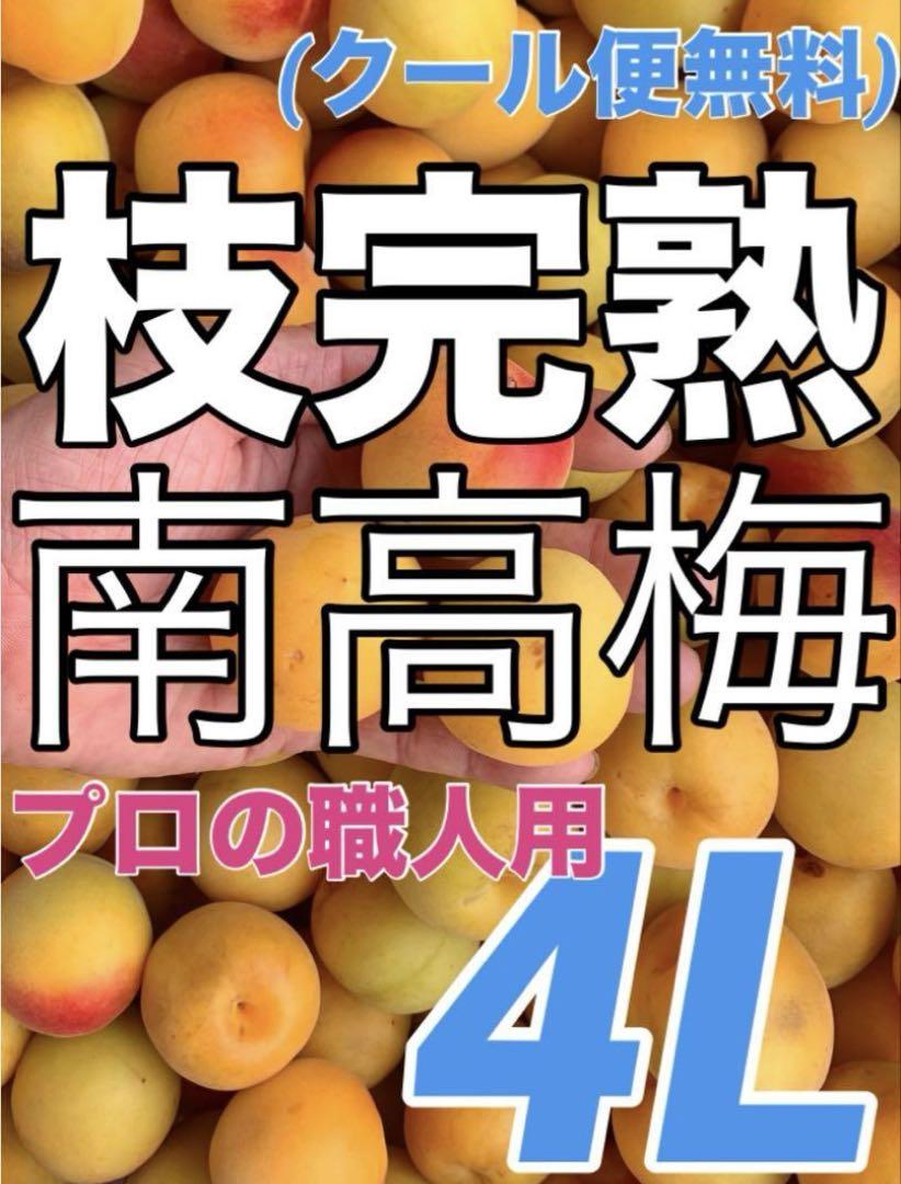 1823❄️クール便【枝完熟南高梅】4L3kg 梅干専用キルトパッチ梅店