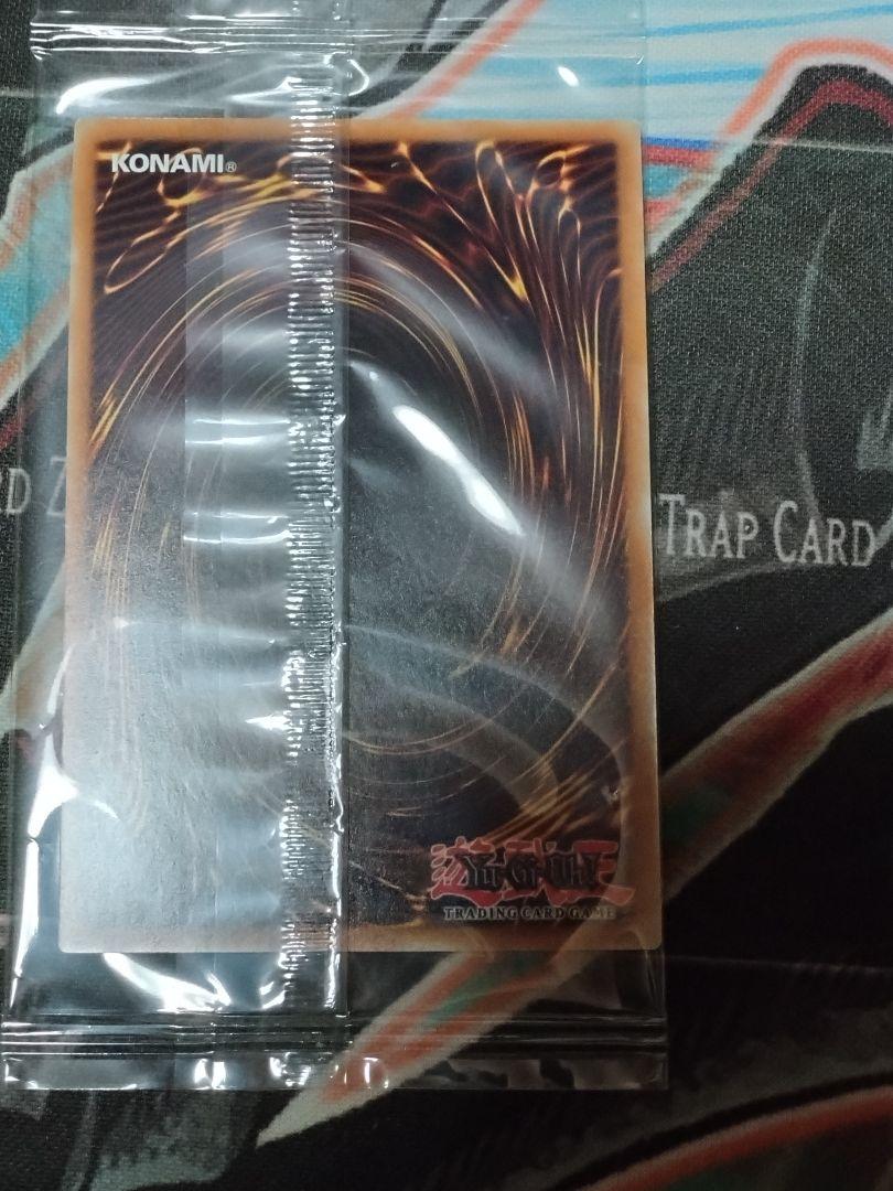 天元の荒鷲王KaiserEagletheHeavens'Mandate