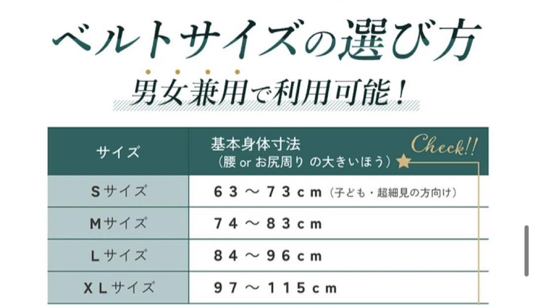 ガードナーベルト　正規品　腰痛ベルト　コルセット　Lサイズ　男女兼用 dh