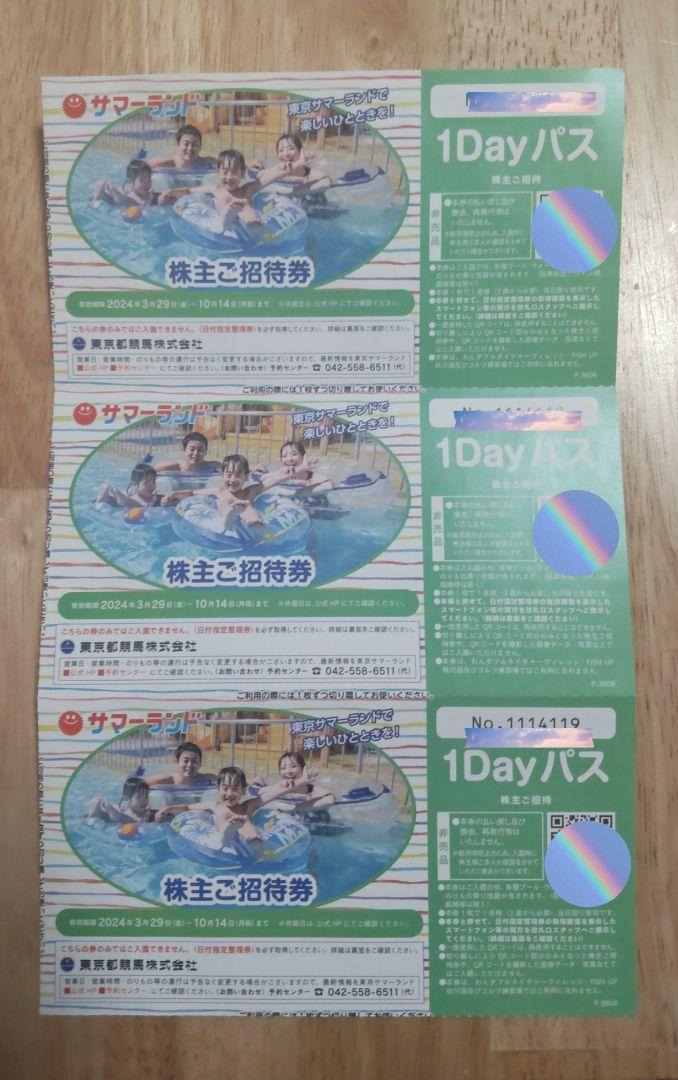 東京サマーランド 株主優待券×3枚