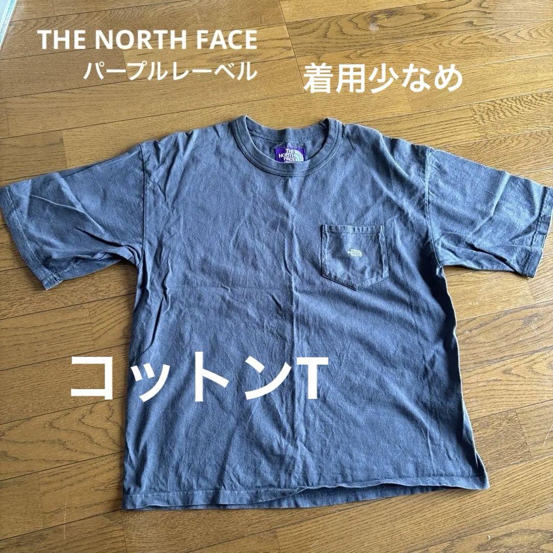 THE NORTH FACE PURPLE LABEL 7OZ ポケットTシャツ