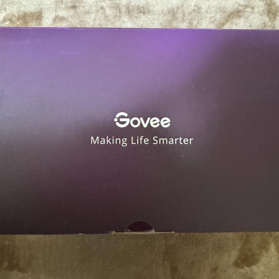 新品 Govee LED パネルライト 10枚入 H6061 ゲーミングライト